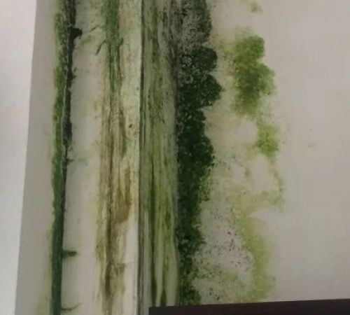 Các giải pháp chống thấm tường triệt để Các giải pháp chống thấm tường triệt để