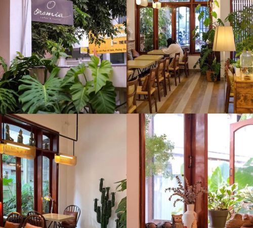 20 lưu ý khi xây quán cafe sân vườn 20 lưu ý khi xây quán cafe sân vườn