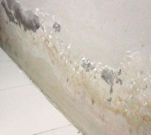 Các cách để giảm ẩm mốc cho nhà ở khi mưa nhiều