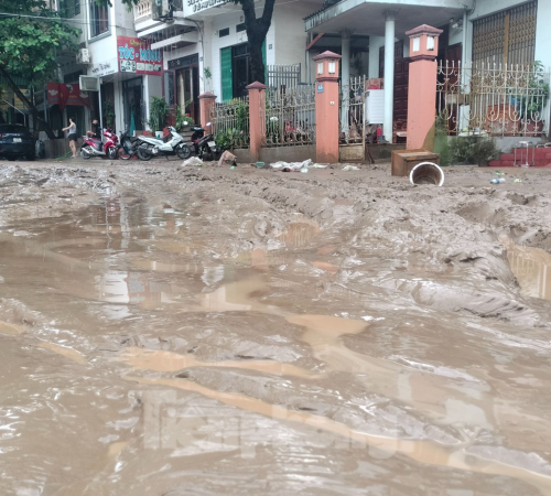 Các hóa chất vệ sinh nhà sau mùa lũ