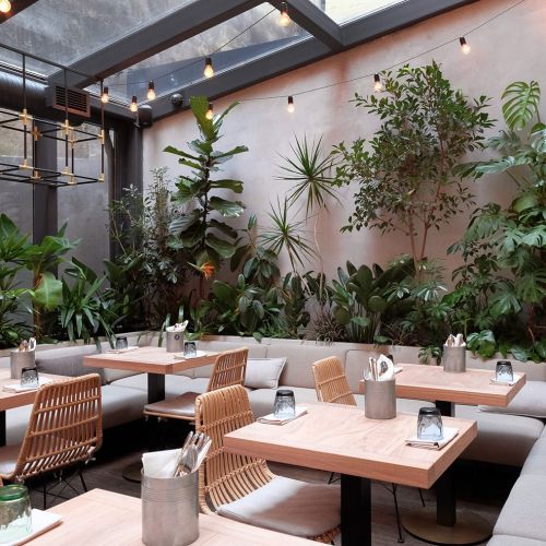 Nhà hàng, khách sạn, quán cafe...