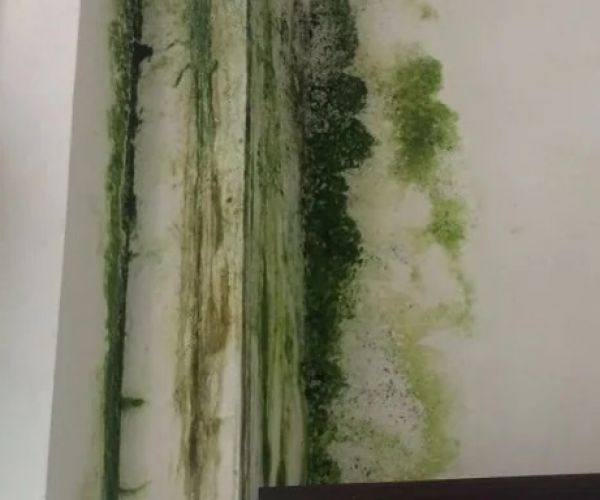 Các giải pháp chống thấm tường triệt để