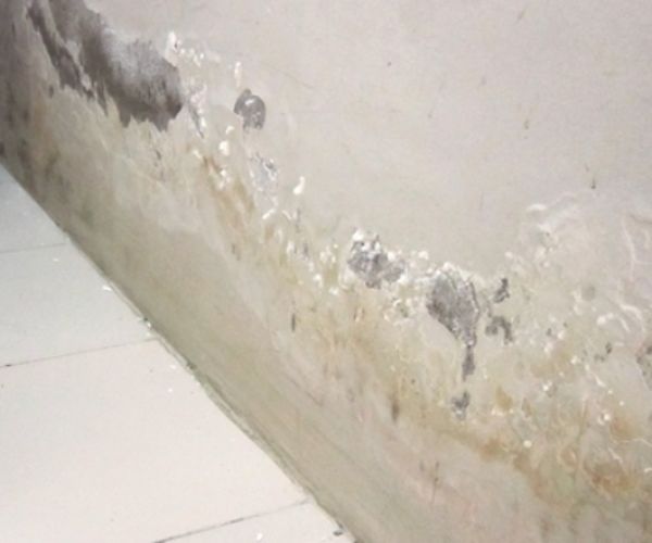 Các cách để giảm ẩm mốc cho nhà ở khi mưa nhiều