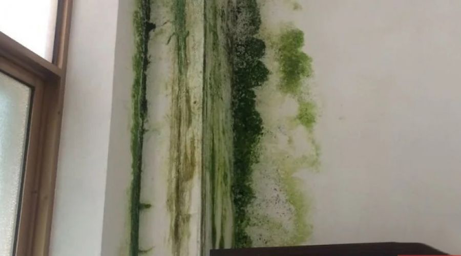 Các giải pháp chống thấm tường triệt để