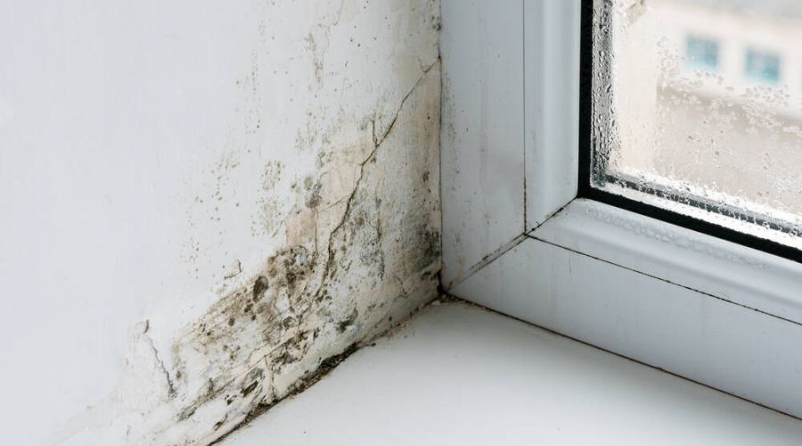 Các điều cần tránh để hạn chế tình trạng ẩm tường khi xây nhà