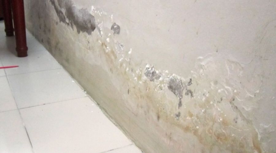 Các cách để giảm ẩm mốc cho nhà ở khi mưa nhiều
