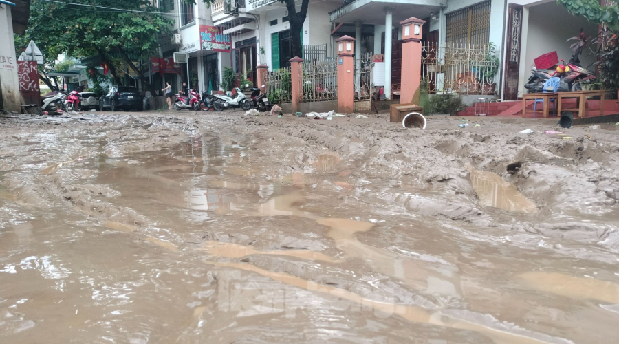 Các hóa chất vệ sinh nhà sau mùa lũ